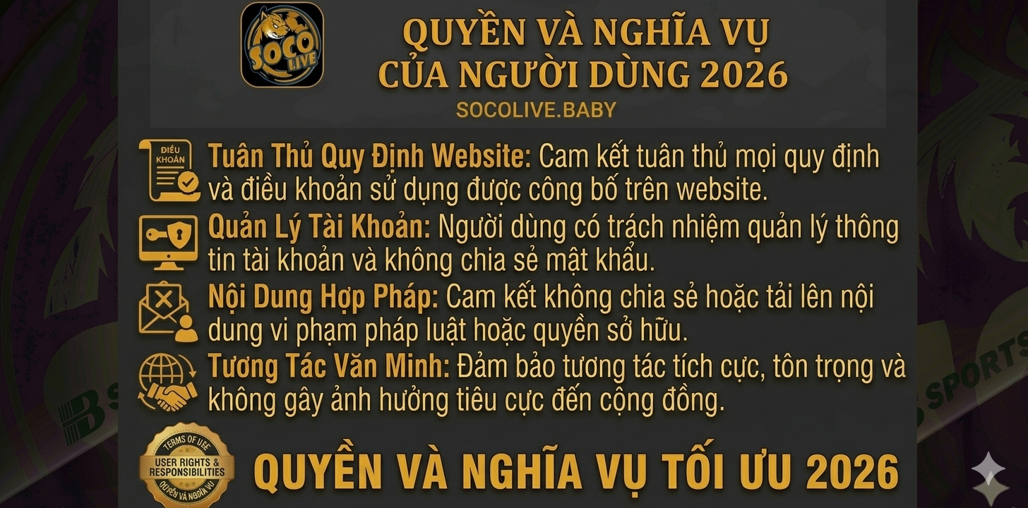 Điều Khoản Sử Dụng SOCOLIVE – Quy Định Website 1 Quyền Và Nghĩa Vụ Của Người Dùng